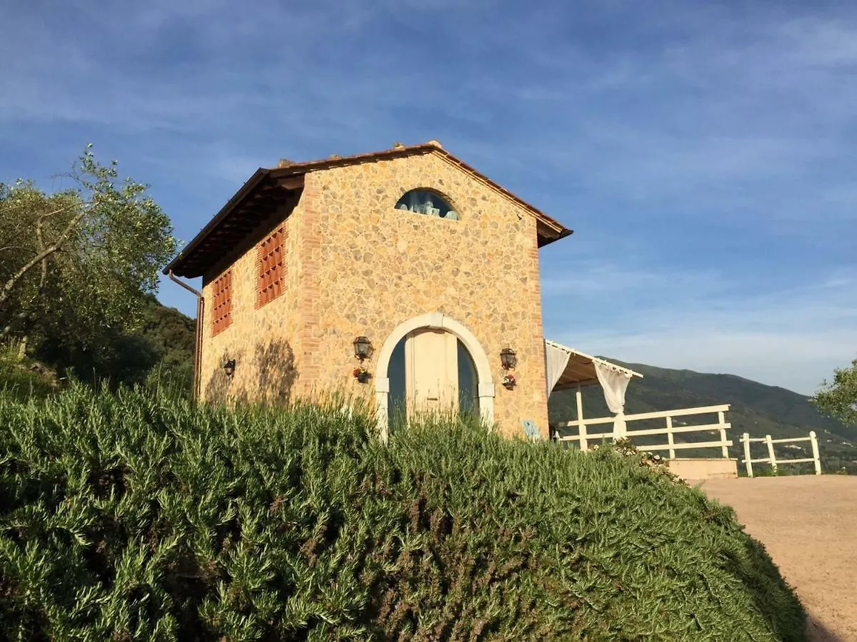 Valuable Rustic Tuscan Swimming Pool, Breathtaking View Of קמאיורה איטליה