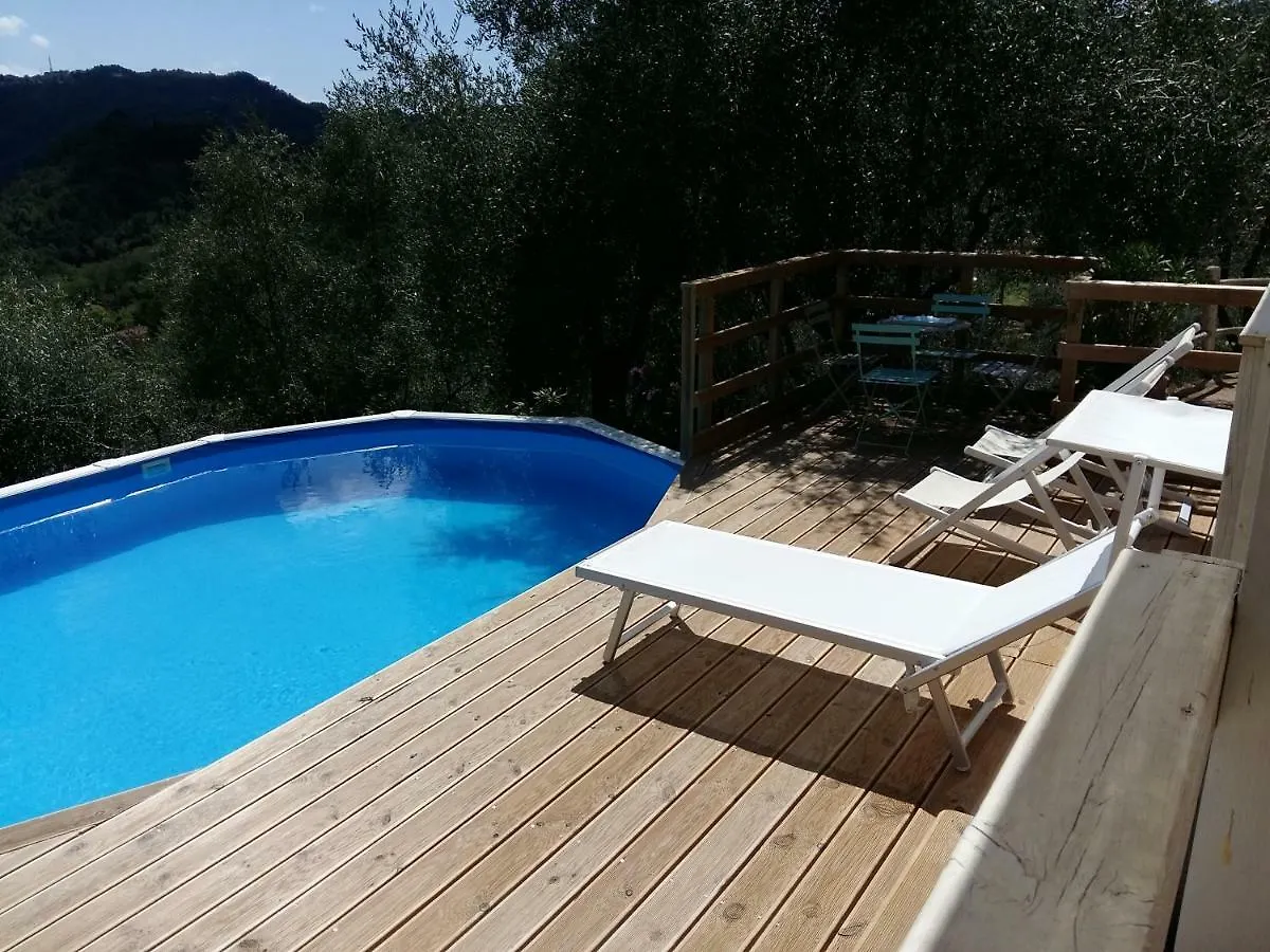 Valuable Rustic Tuscan Swimming Pool, Breathtaking View Of קמאיורה וילה